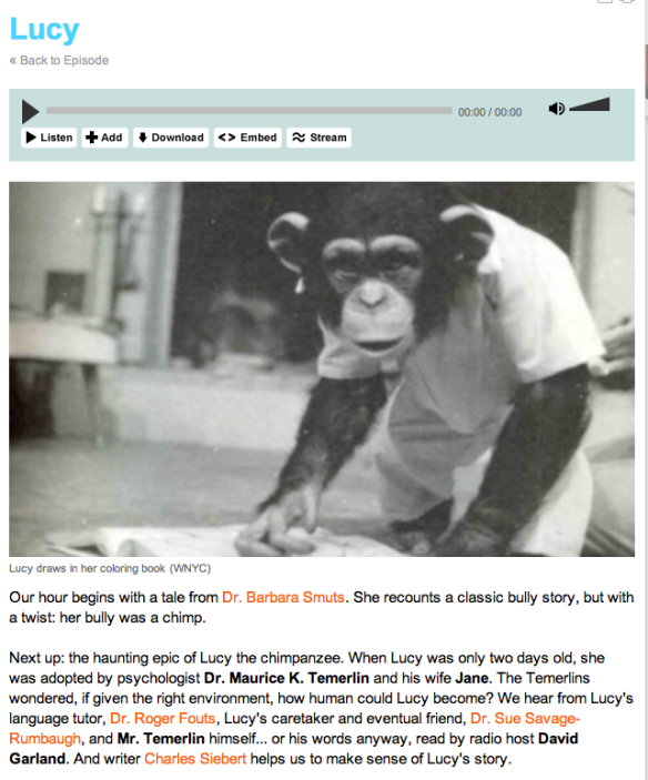 Lucy the Chimp: A True Tale of Staggering Sorrow & Loss
