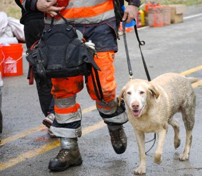 Rescue team at the Oso landslide. Trained sniffer dogs helped speed-up the search.